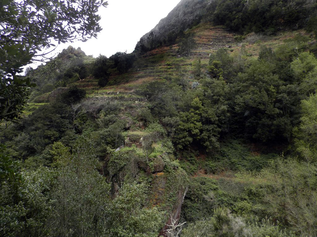 Wanderung vom Rocko de Agando, El Cercado, Hermigua