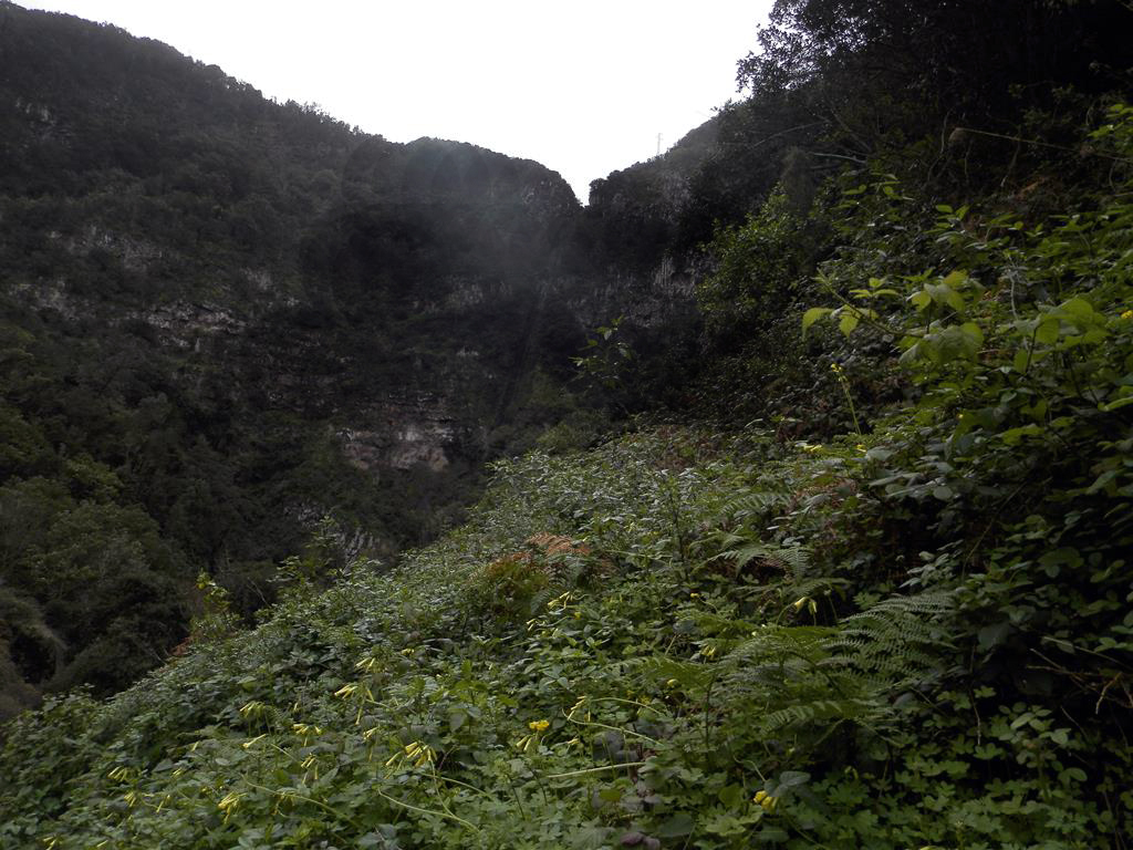 Wanderung vom Rocko de Agando, El Cercado, Hermigua