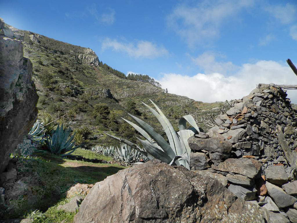 Wandern nach La Laya