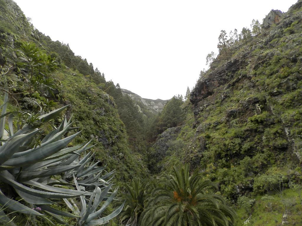 Wandern nach La Laya