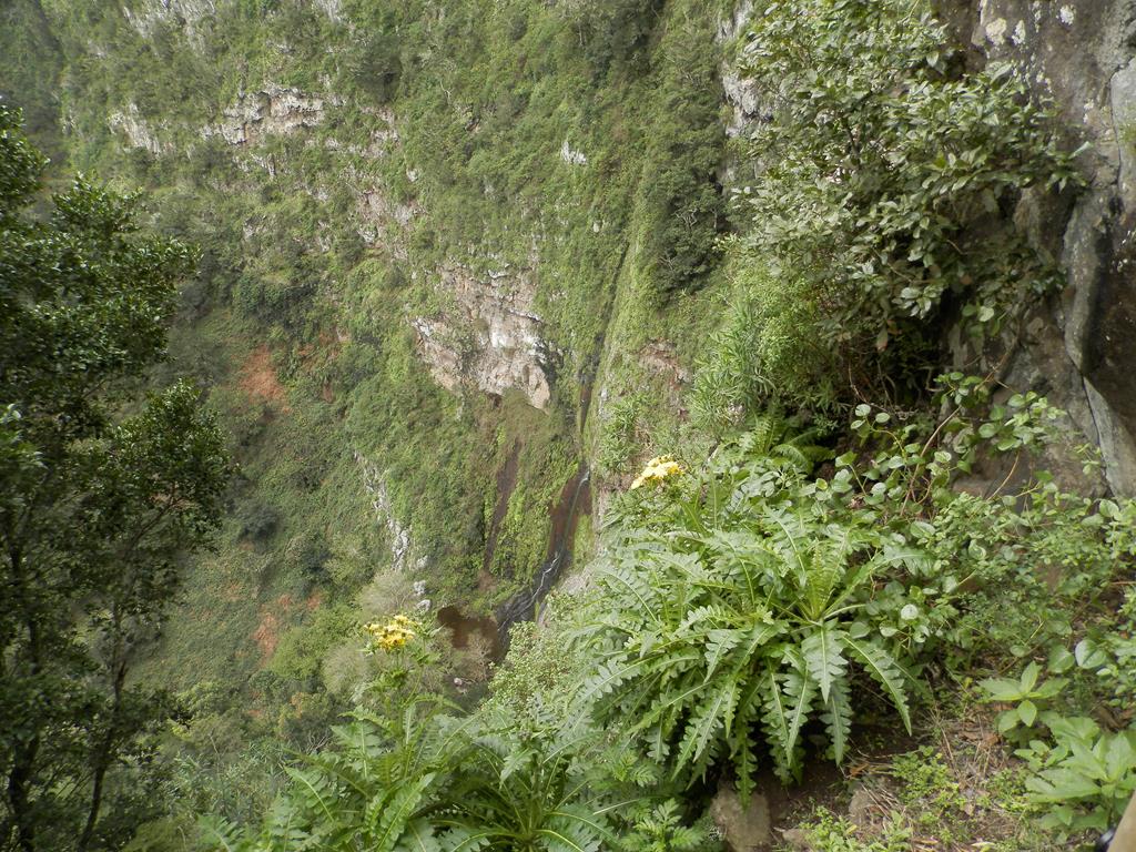 Wanderung vom Rocko de Agando, El Cercado, Hermigua