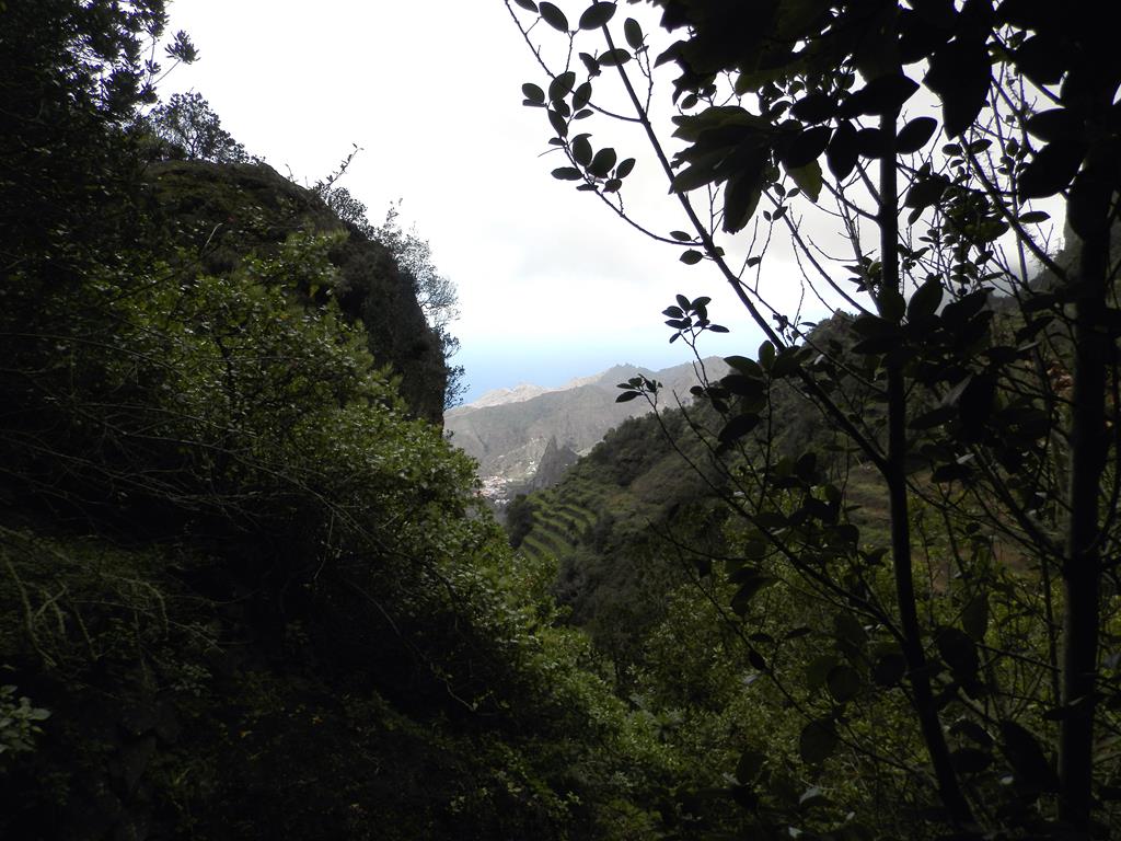 Wanderung vom Rocko de Agando, El Cercado, Hermigua