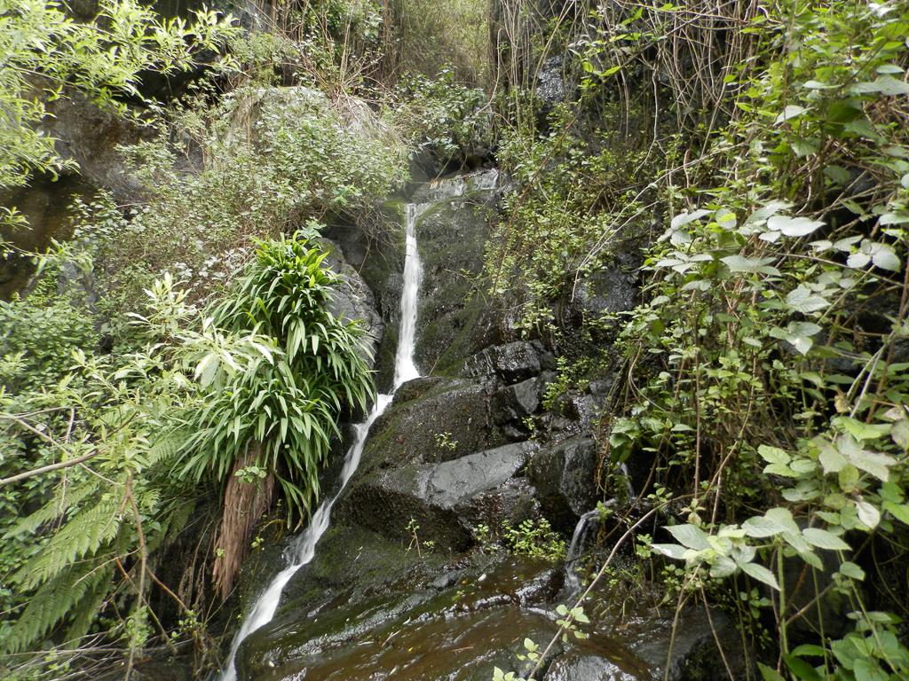 Wanderung vom Rocko de Agando, El Cercado, Hermigua