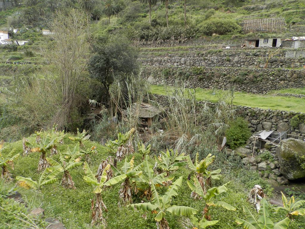 Wanderung vom Rocko de Agando, El Cercado, Hermigua