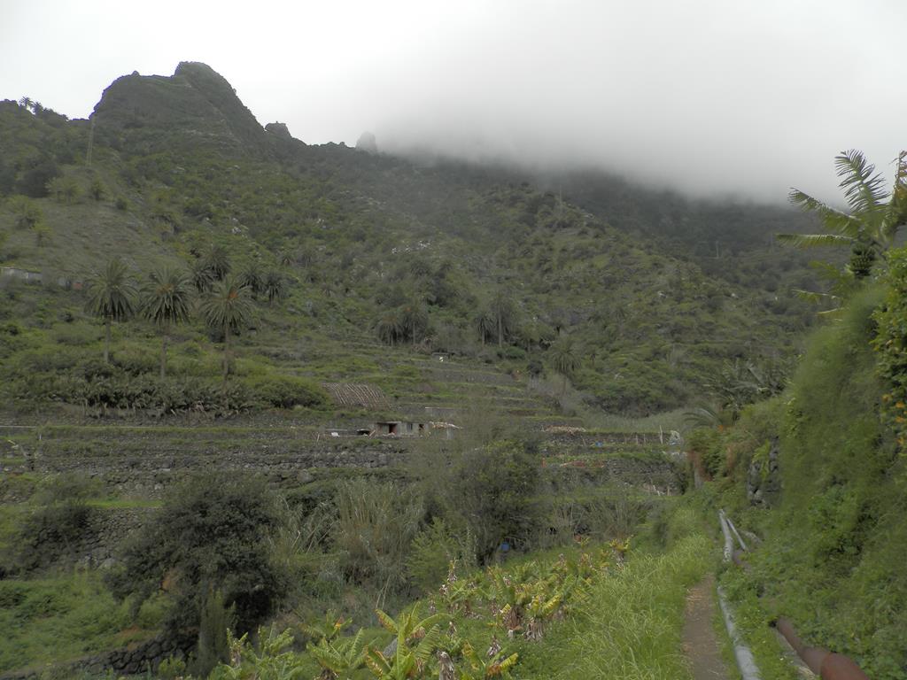 Wanderung vom Rocko de Agando, El Cercado, Hermigua